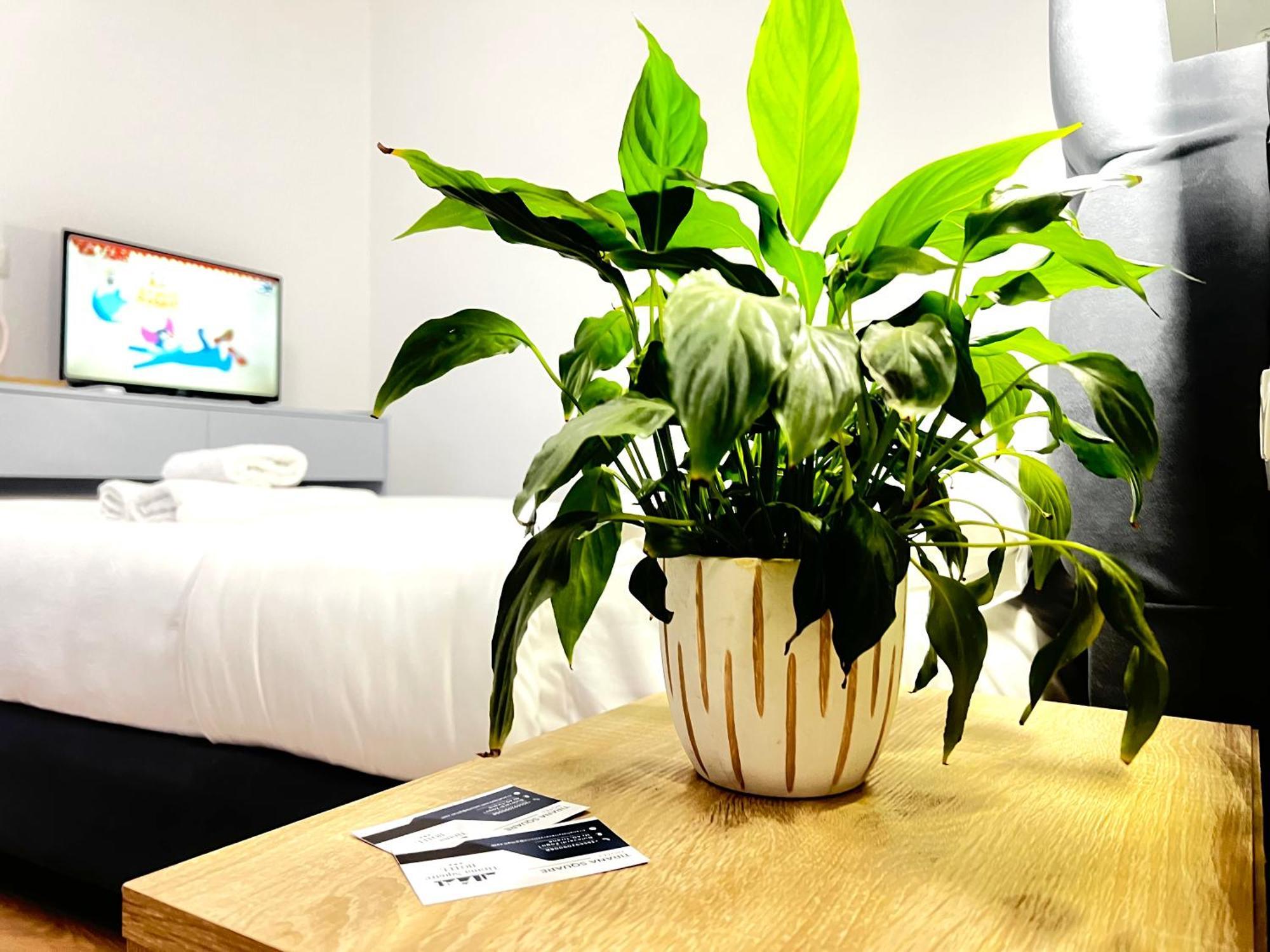 Tirana Square Hotel Extérieur photo